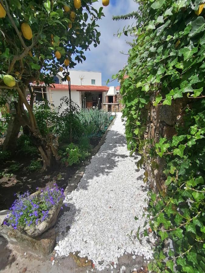 הוילה קנגס דה מוראסו A Casa Dos Retales מראה חיצוני תמונה